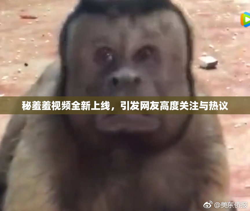 秘羞羞视频全新上线，引发网友高度关注与热议