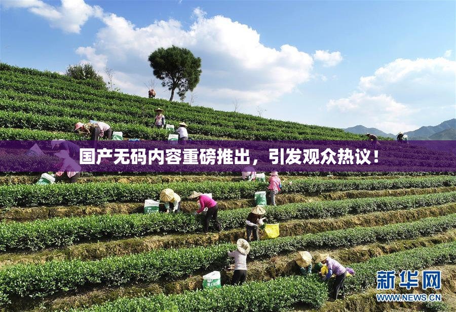 国产无码内容重磅推出，引发观众热议！