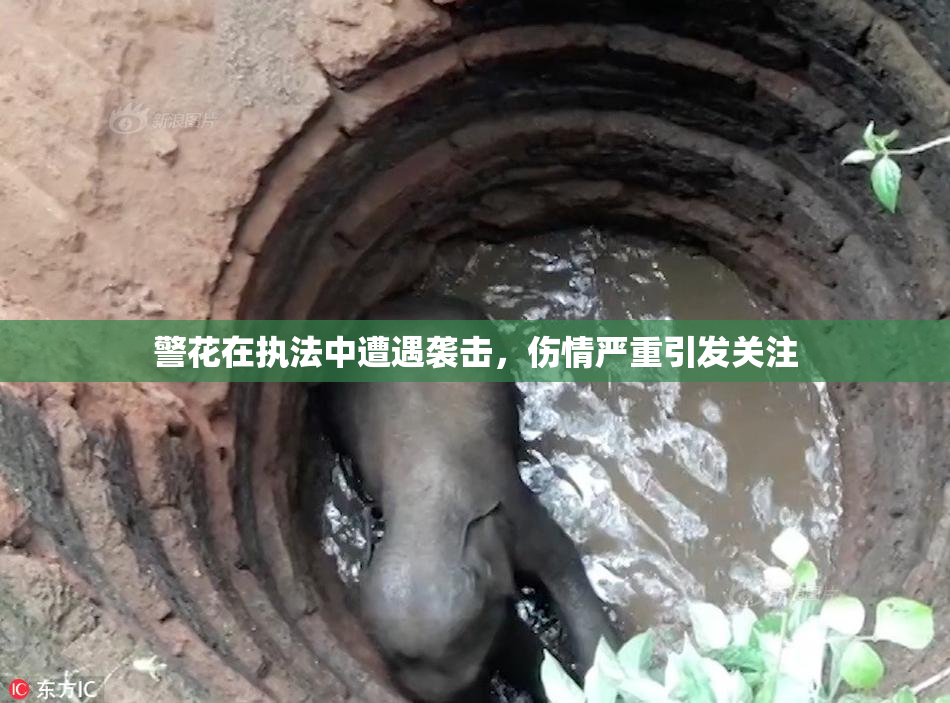 警花在执法中遭遇袭击，伤情严重引发关注