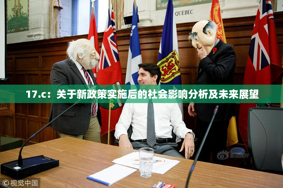 17.c：关于新政策实施后的社会影响分析及未来展望