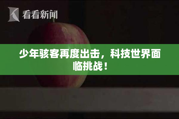 少年骇客再度出击，科技世界面临挑战！