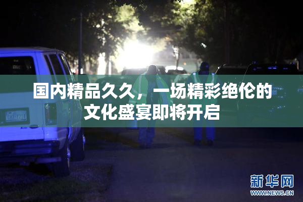 国内精品久久，一场精彩绝伦的文化盛宴即将开启
