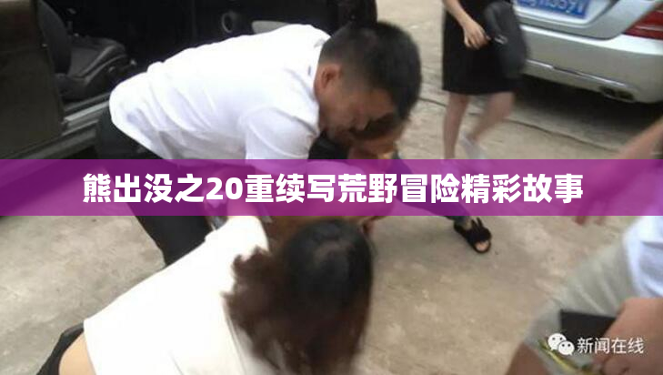 熊出没之20重续写荒野冒险精彩故事