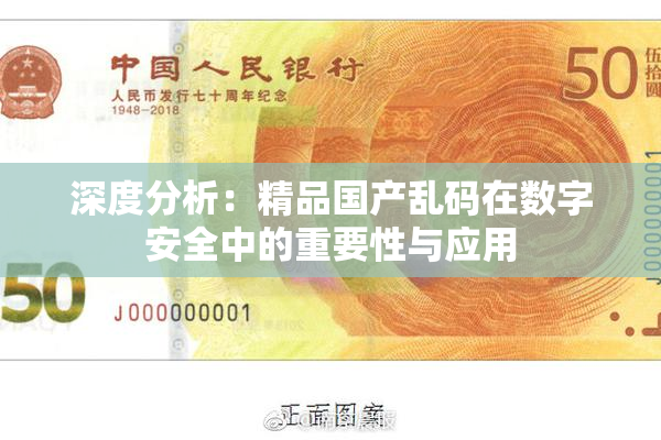 深度分析：精品国产乱码在数字安全中的重要性与应用