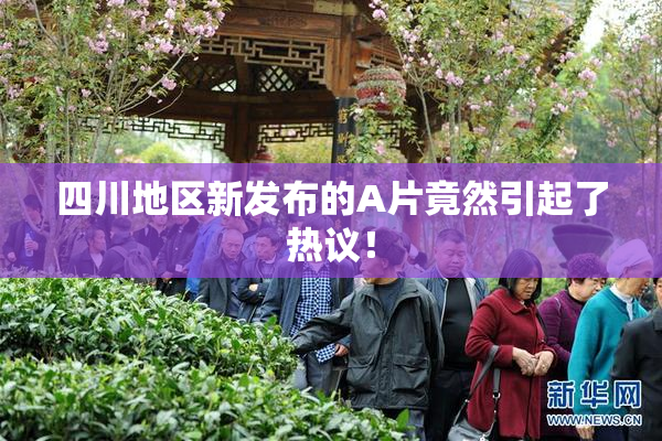 四川地区新发布的A片竟然引起了热议！