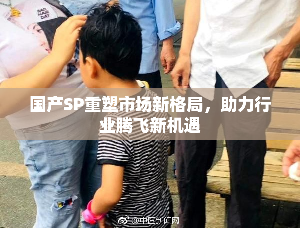 国产SP重塑市场新格局，助力行业腾飞新机遇