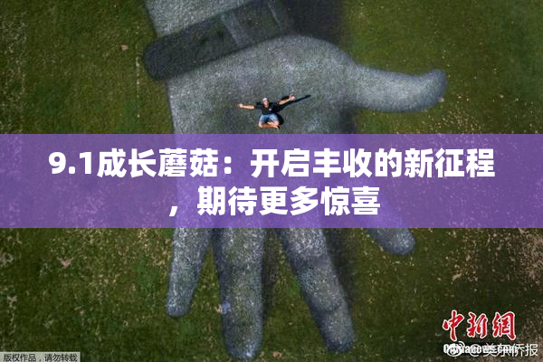9.1成长蘑菇：开启丰收的新征程，期待更多惊喜