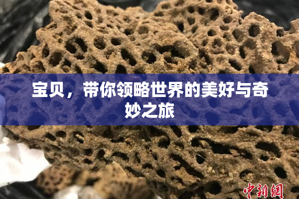 宝贝，带你领略世界的美好与奇妙之旅