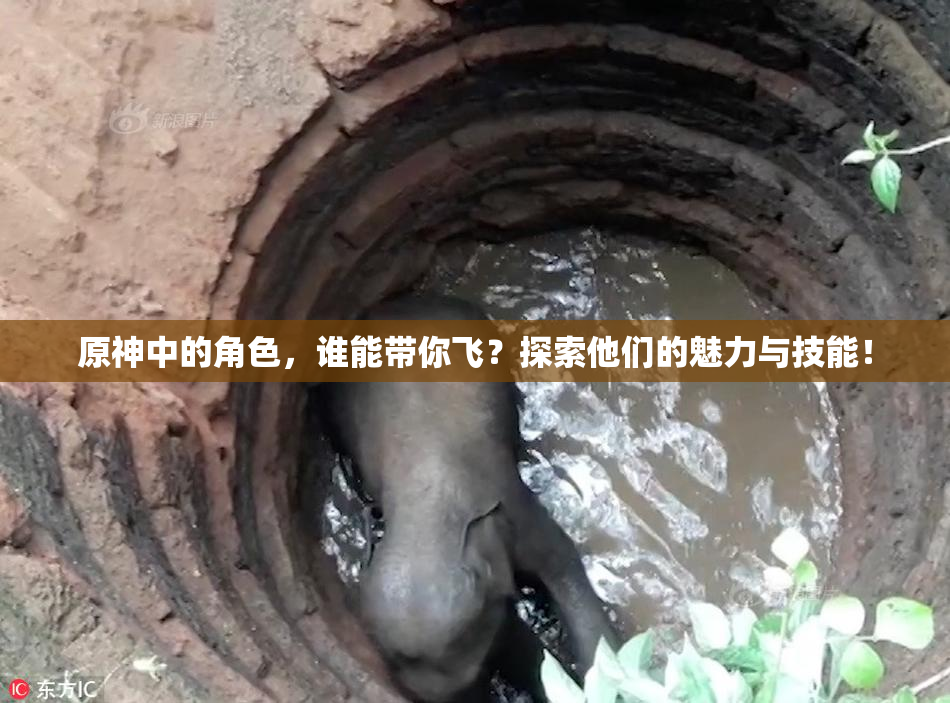 原神中的角色，谁能带你飞？探索他们的魅力与技能！