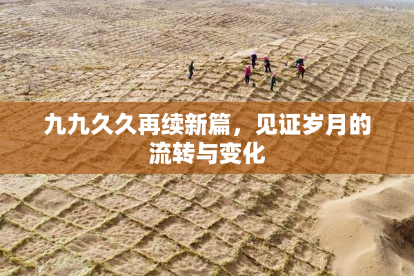九九久久再续新篇，见证岁月的流转与变化