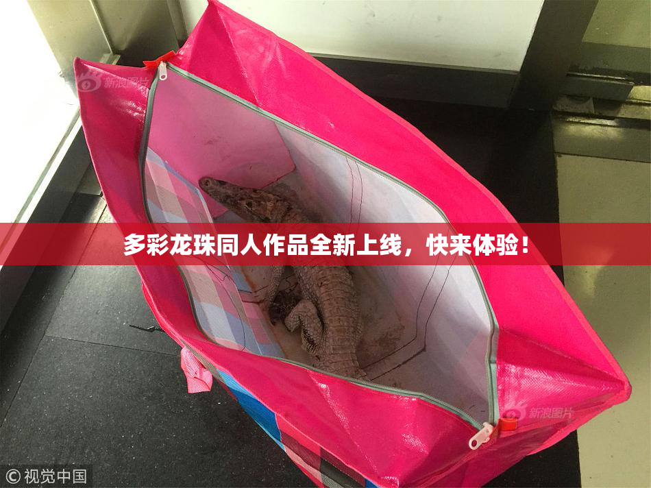 多彩龙珠同人作品全新上线，快来体验！