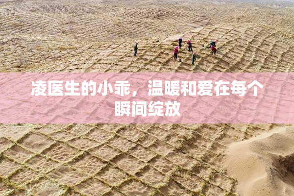 凌医生的小乖，温暖和爱在每个瞬间绽放