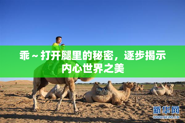 乖～打开腿里的秘密，逐步揭示内心世界之美