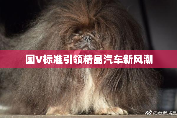国V标准引领精品汽车新风潮