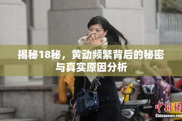 揭秘18秘，黄动频繁背后的秘密与真实原因分析