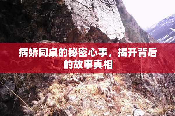 病娇同桌的秘密心事，揭开背后的故事真相