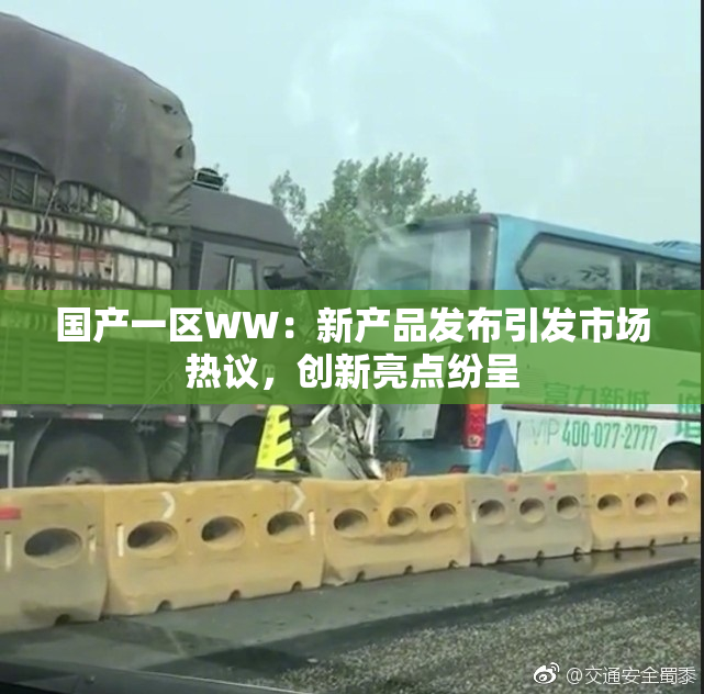 国产一区WW：新产品发布引发市场热议，创新亮点纷呈