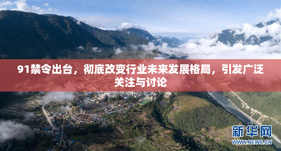 91禁令出台，彻底改变行业未来发展格局，引发广泛关注与讨论