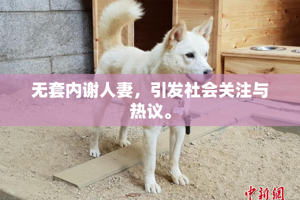无套内谢人妻，引发社会关注与热议。