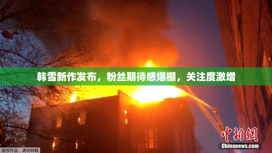 韩雪新作发布，粉丝期待感爆棚，关注度激增