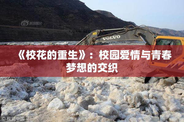 《校花的重生》：校园爱情与青春梦想的交织