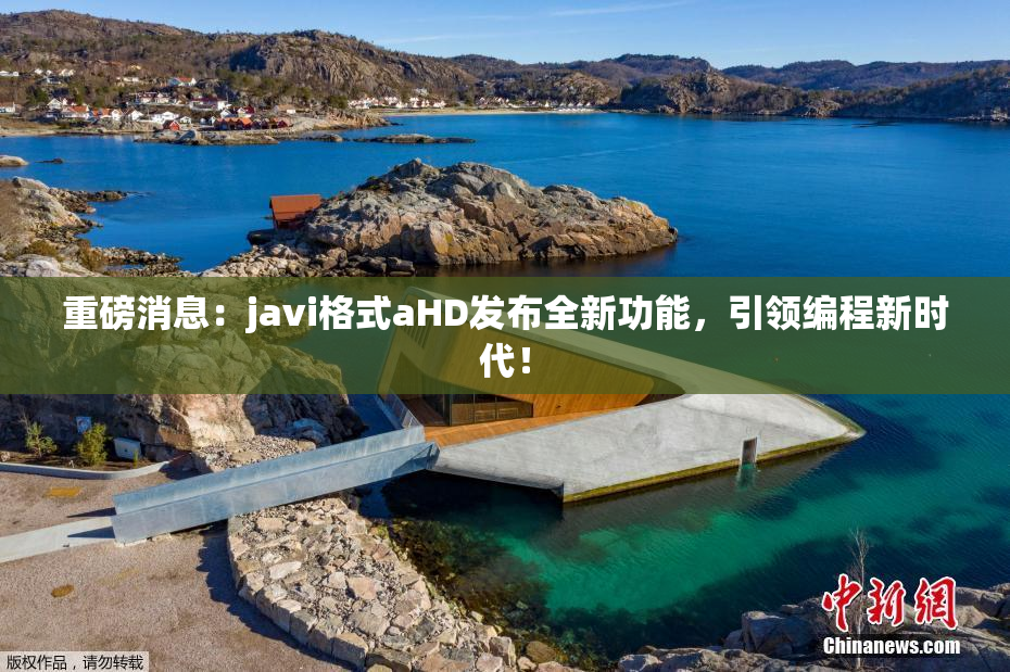 重磅消息：javi格式aHD发布全新功能，引领编程新时代！