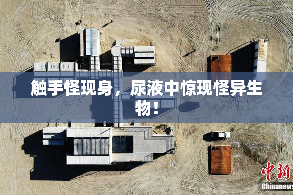 触手怪现身，尿液中惊现怪异生物！