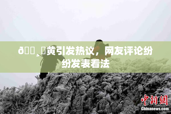 🌸‌黄引发热议，网友评论纷纷发表看法