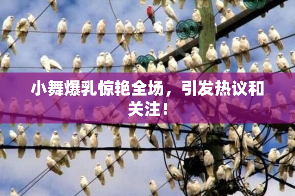 小舞爆乳惊艳全场，引发热议和关注！