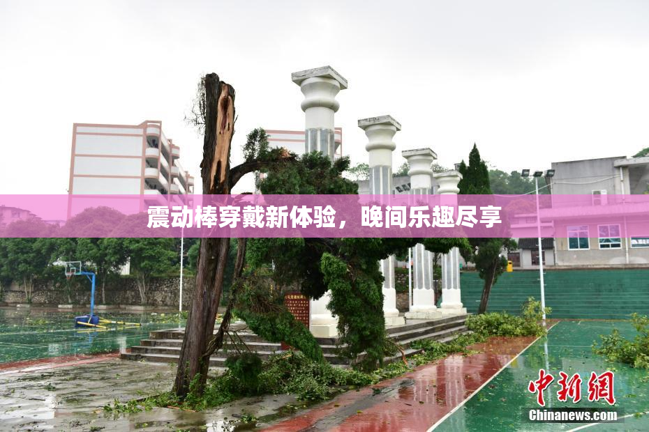 震动棒穿戴新体验，晚间乐趣尽享