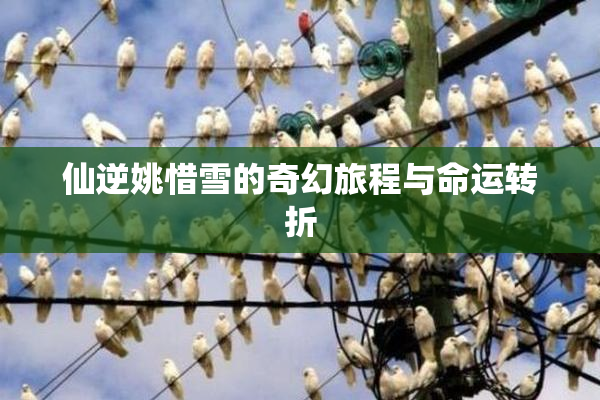 仙逆姚惜雪的奇幻旅程与命运转折