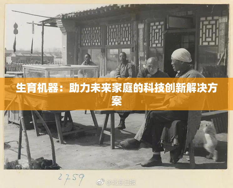 生育机器：助力未来家庭的科技创新解决方案