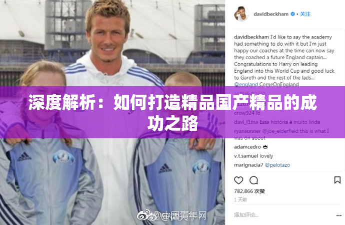 深度解析：如何打造精品国产精品的成功之路