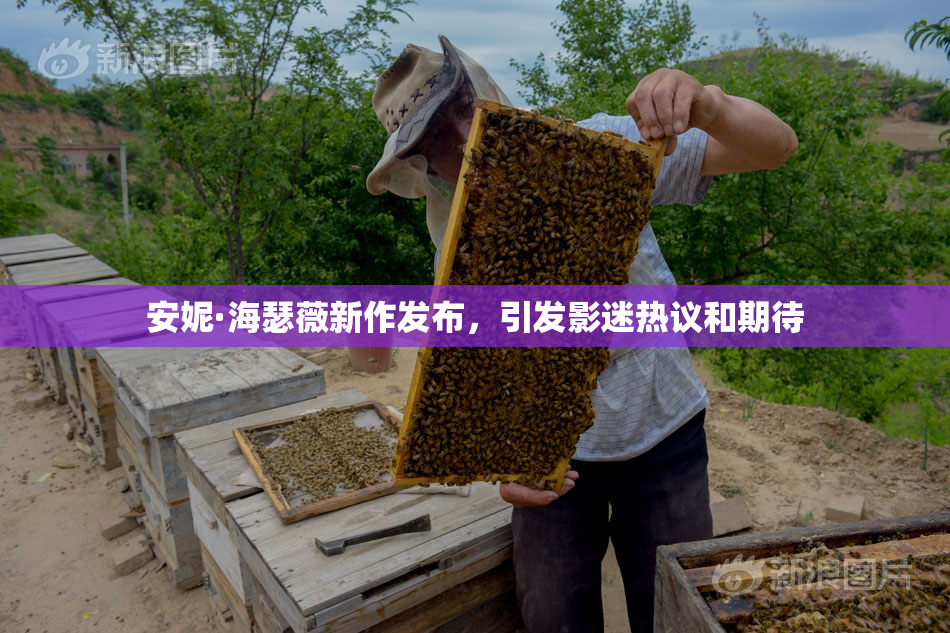 安妮·海瑟薇新作发布，引发影迷热议和期待
