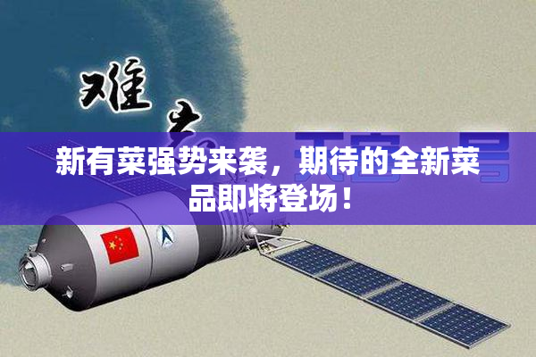 新有菜强势来袭，期待的全新菜品即将登场！
