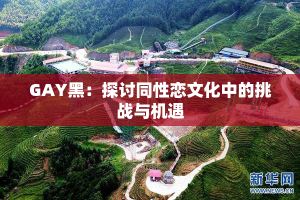 GAY黑：探讨同性恋文化中的挑战与机遇
