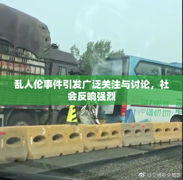 乱人伦事件引发广泛关注与讨论，社会反响强烈
