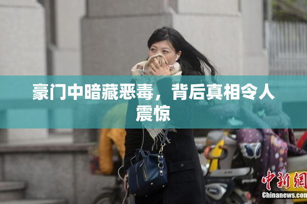 豪门中暗藏恶毒，背后真相令人震惊