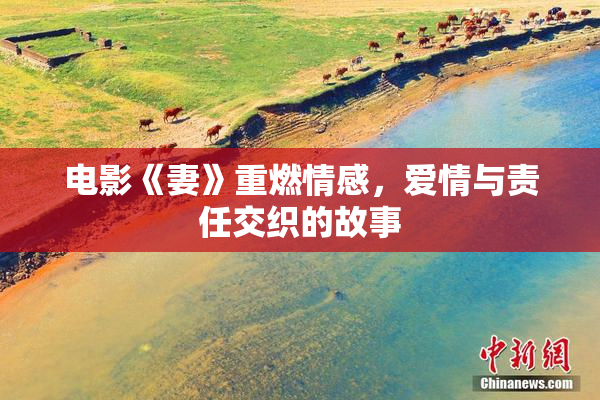 电影《妻》重燃情感，爱情与责任交织的故事