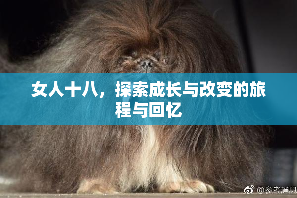 女人十八，探索成长与改变的旅程与回忆