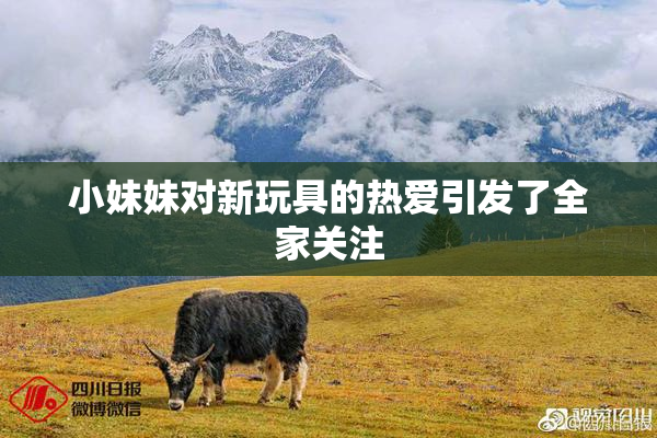 小妹妹对新玩具的热爱引发了全家关注