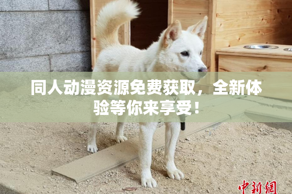 同人动漫资源免费获取，全新体验等你来享受！