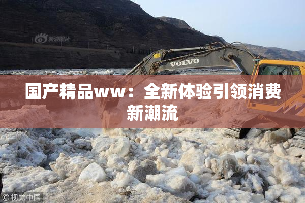 国产精品ww：全新体验引领消费新潮流