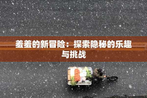 羞羞的新冒险：探索隐秘的乐趣与挑战