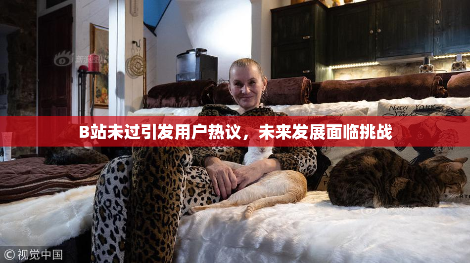 B站未过引发用户热议，未来发展面临挑战