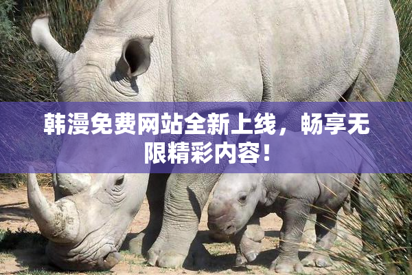 韩漫免费网站全新上线，畅享无限精彩内容！