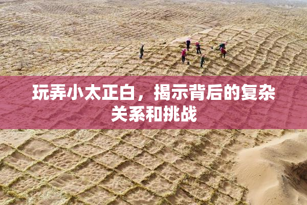 玩弄小太正白，揭示背后的复杂关系和挑战