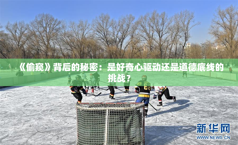 《偷窥》背后的秘密：是好奇心驱动还是道德底线的挑战？