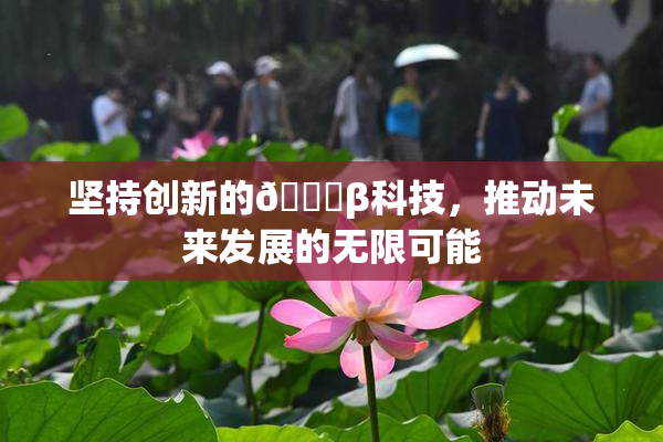 坚持创新的🔞β科技，推动未来发展的无限可能