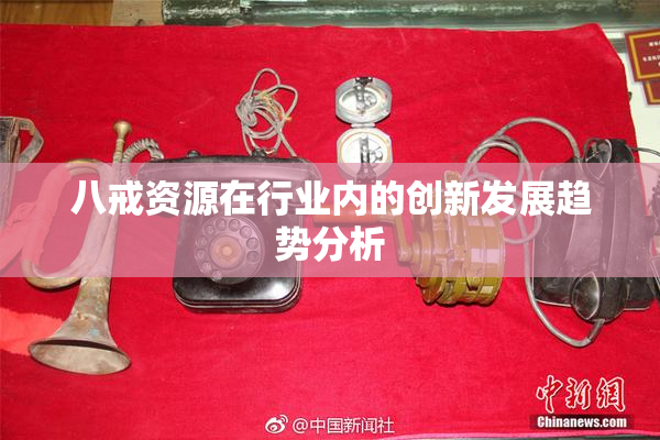 八戒资源在行业内的创新发展趋势分析